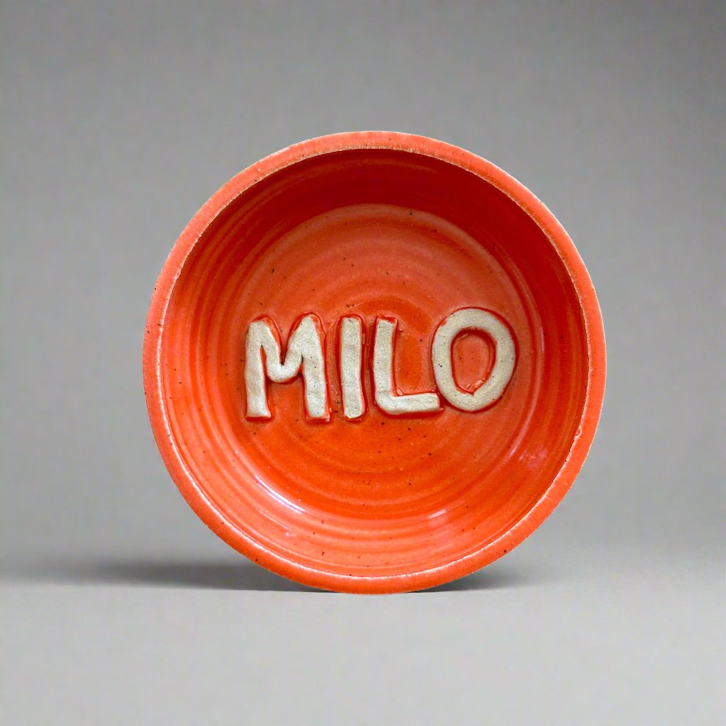 Customize Your Dog Bowl